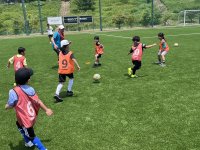 【キッズ】6月 キッズサッカー体験会のお知らせの画像