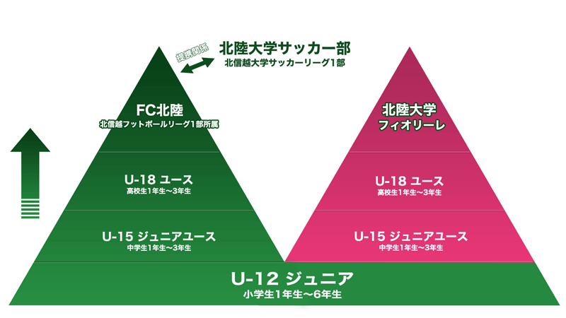 クラブ紹介 FC北陸のピラミッド