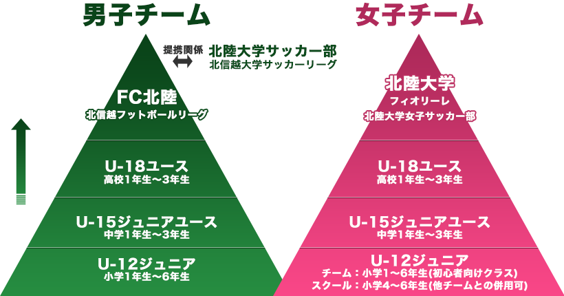 クラブ紹介 FC北陸のピラミッド